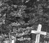 4cc226eebde6c4e919cf3b2c5ac37ba3