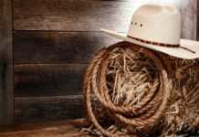 6833568-western-wallpaper