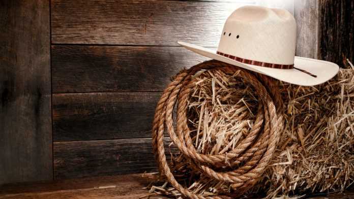 6833568-western-wallpaper