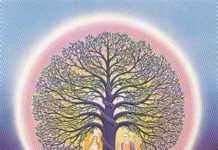 8155c0fc9eb4813b6b0101396c921563