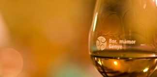 bormamor2