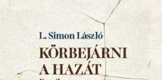 lugas15lsimon
