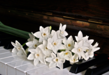 piano1398069960720600x450