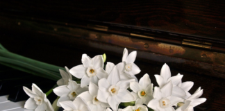 piano1398069960720600x450