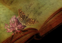 texture1897133960720600x431