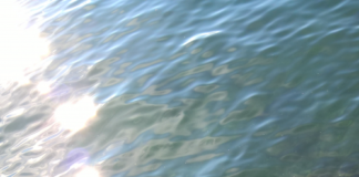 gaborjakadamfotokeledori500x888