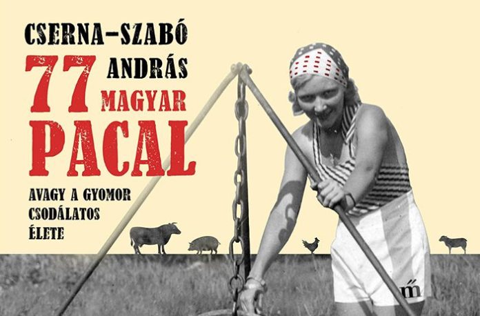 lugas15pacal2-e1514564276265