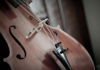 cello110981960720600x400