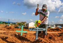 lugas05brazil-780x520