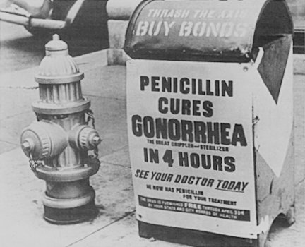 Penicillin, a csodagyógyszer